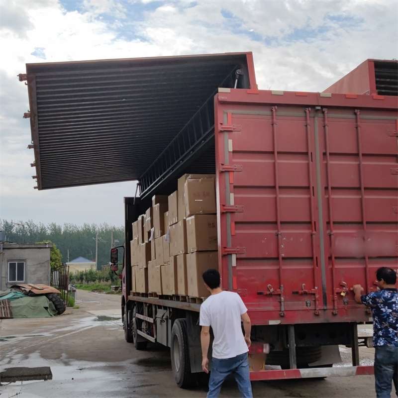 神湾镇扎囊县：物流专线的高效货运之旅
